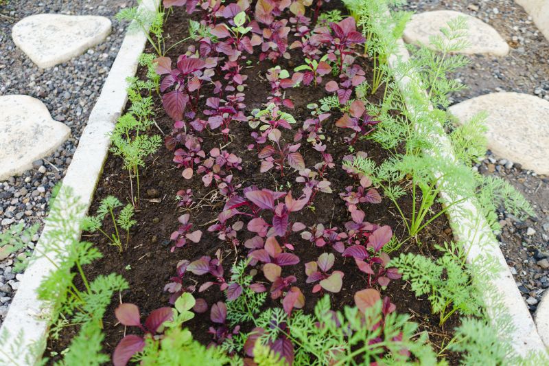 Top Rated Concrete Edging Products