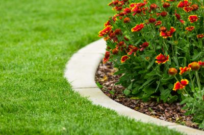 Prevents soil erosion.