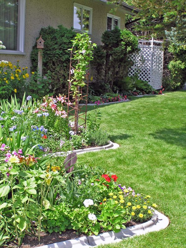 Garden with Concrete Edging