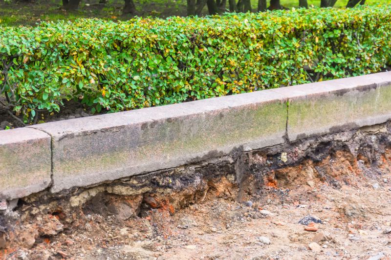 Concrete Edging with Plants